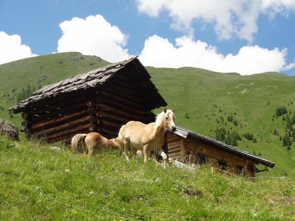 Gaestehaus Zwischenberger Obervellach Exterior foto